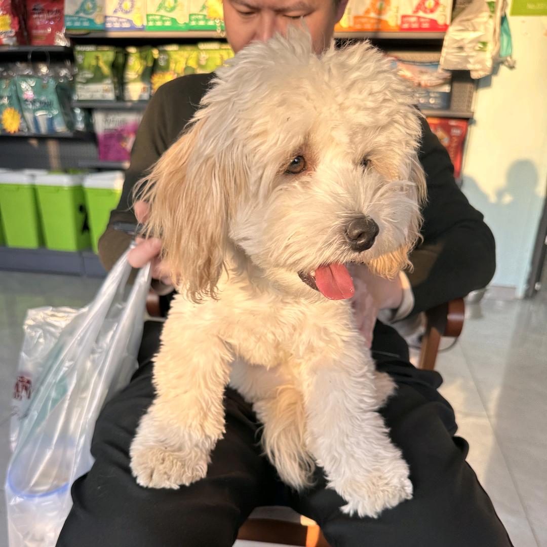 我们在创造未来