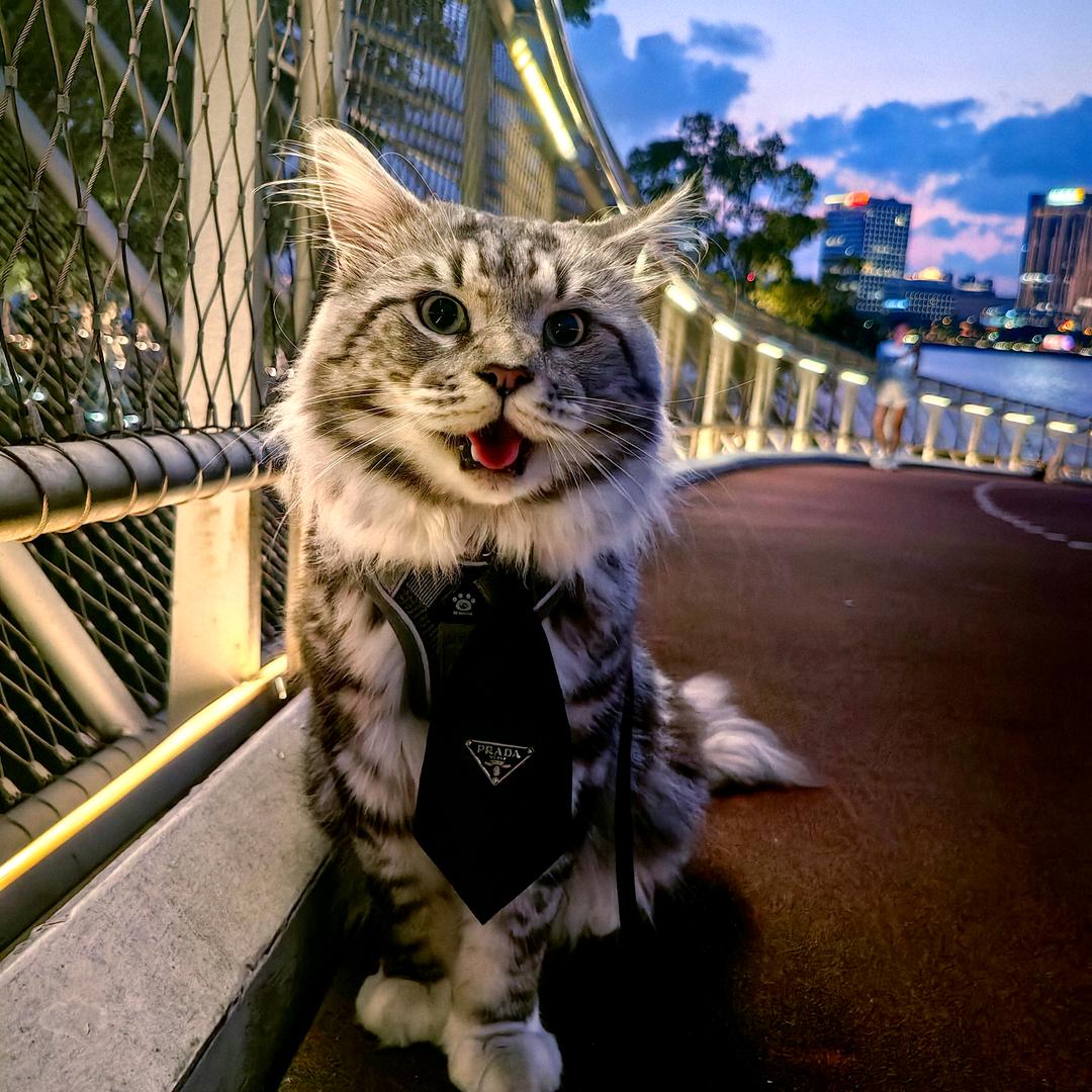 野生的二大爷