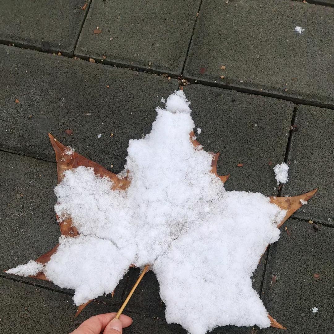 赤子之心༃༂༒༒