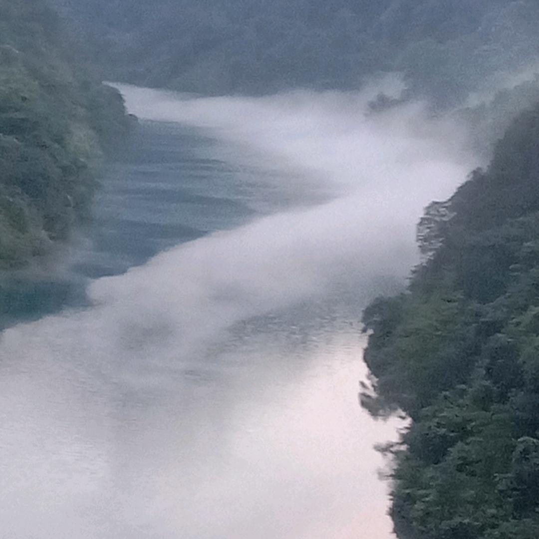 🌈浓烟🌊伴酒🍾