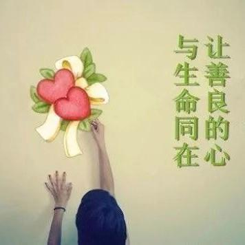芳昕