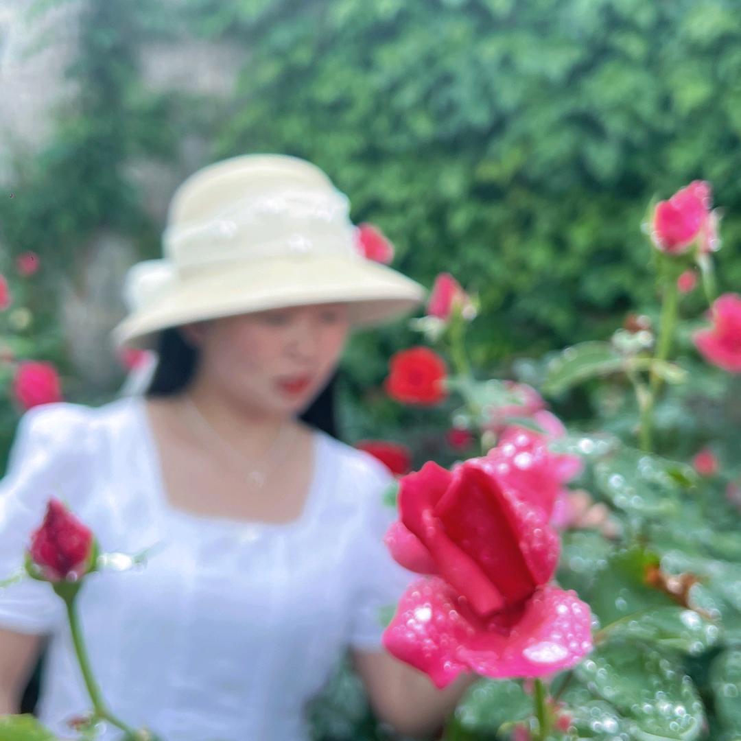 玲玲🌷🌸