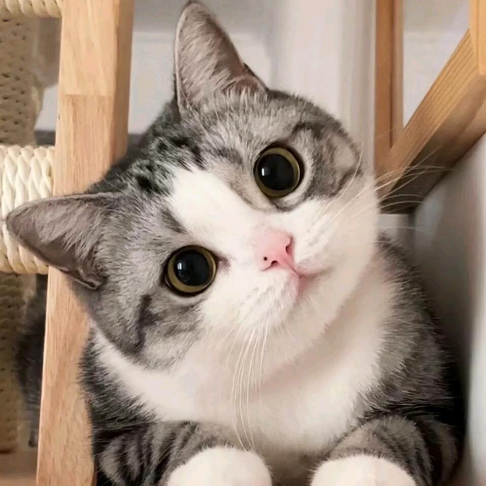 开开心心，盈盈