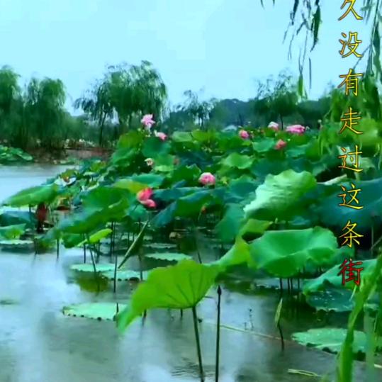 飞燕
