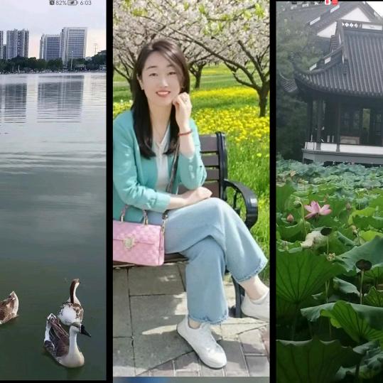 半夏柒微凉