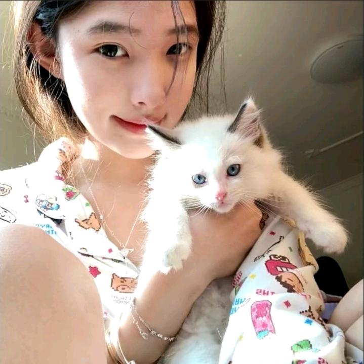 总爱犯困的小迷糊