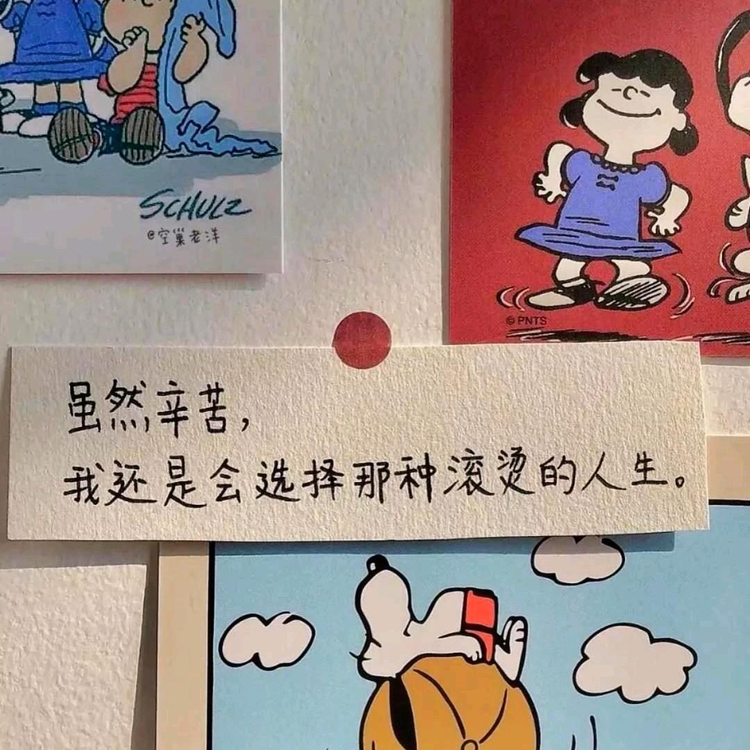 不说再见（张杰演唱会在场两场版）