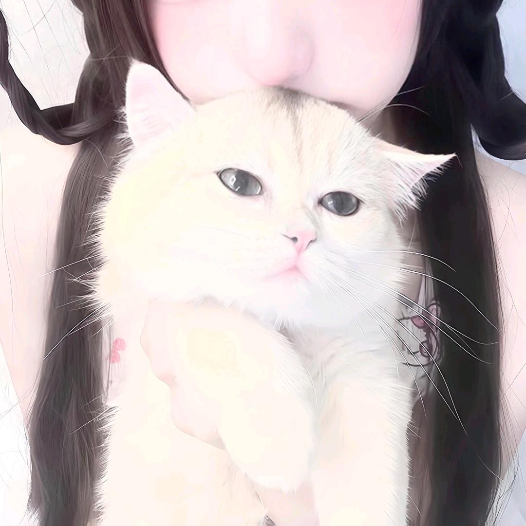 王者荣耀裴宇（国服老虎）