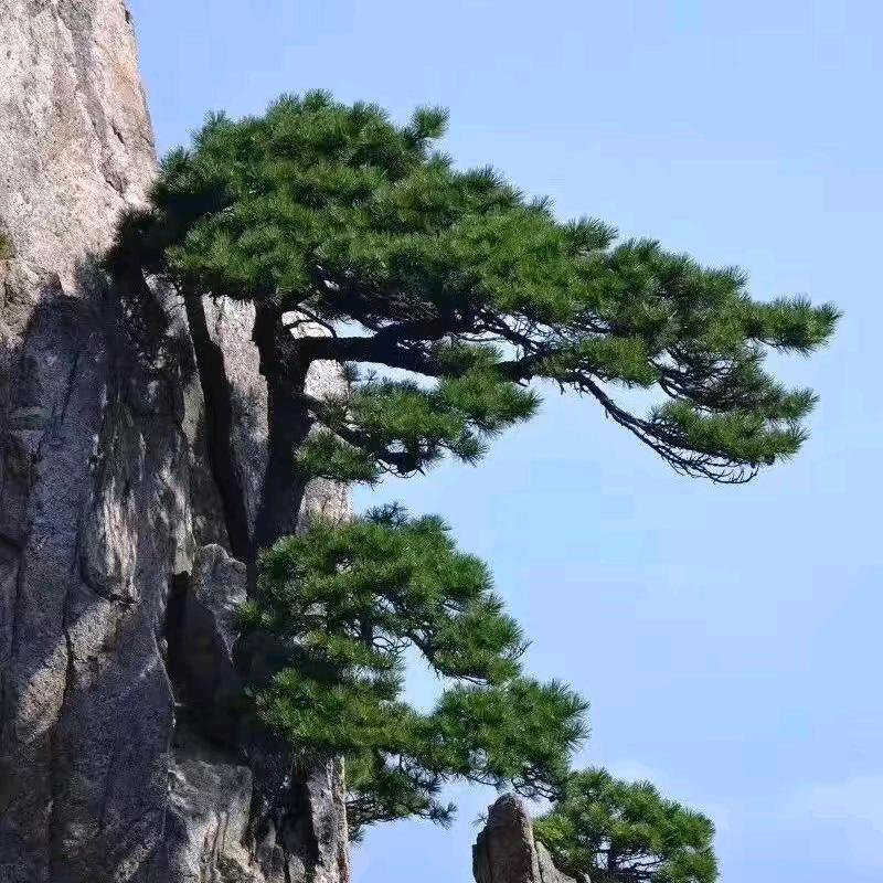 富婆群里