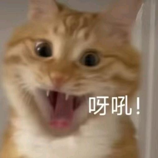 此意寄清风