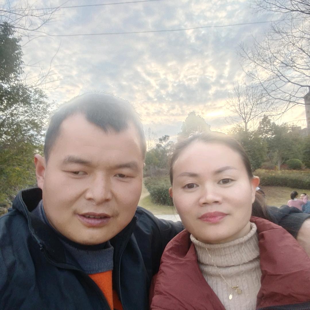 zhang，风中的志