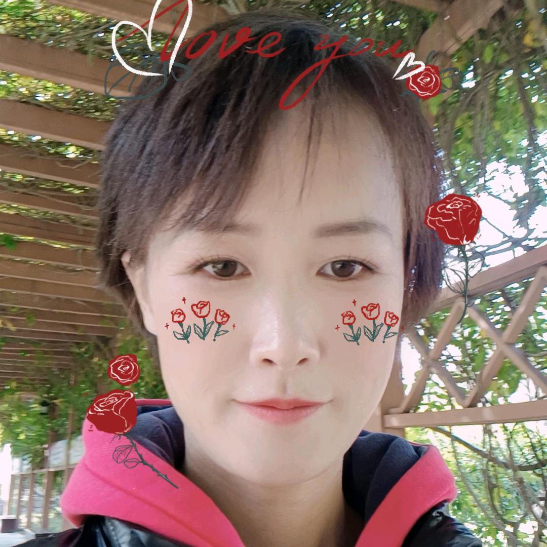 贾❤️饼干