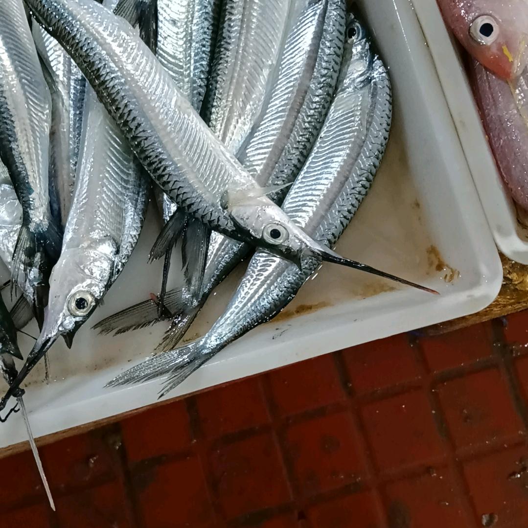 🍻努力只为将来更好🍻