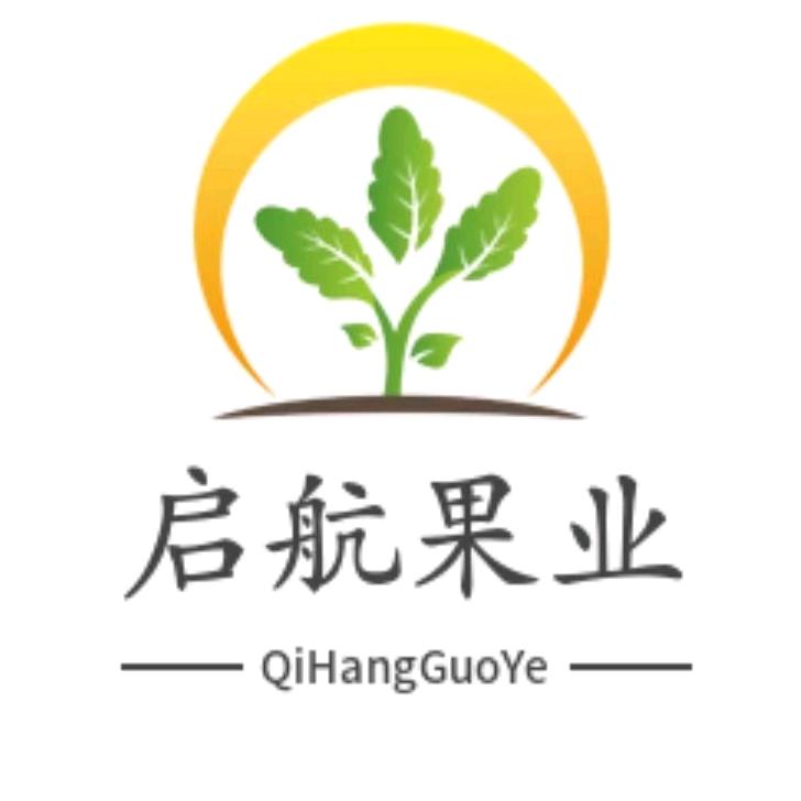 启航果业