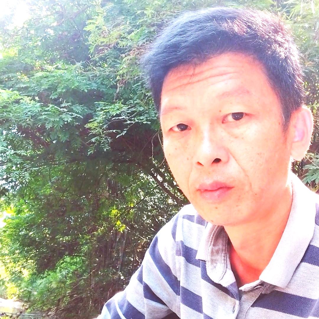 广西陈兄弟狮头鹅