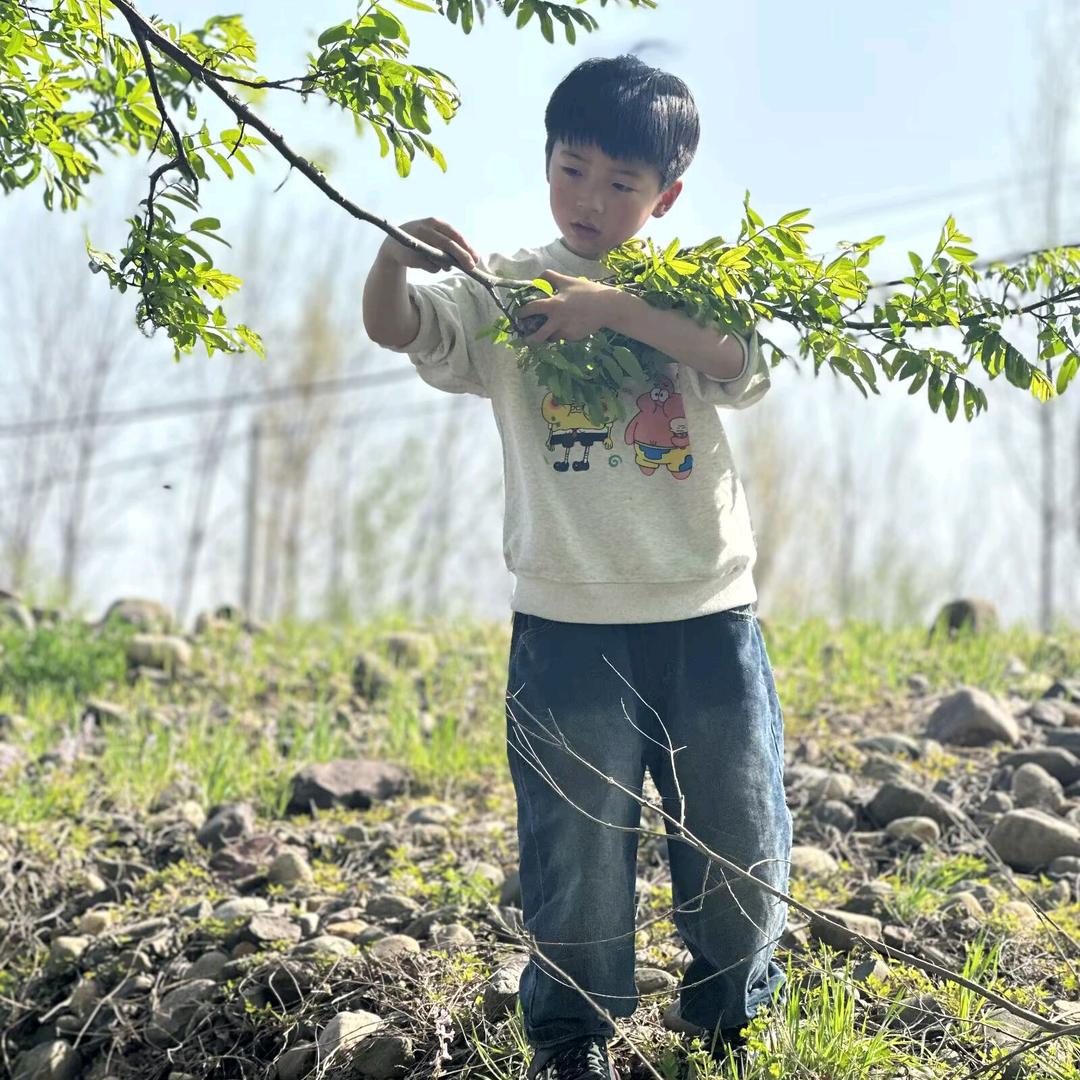 小靳老师