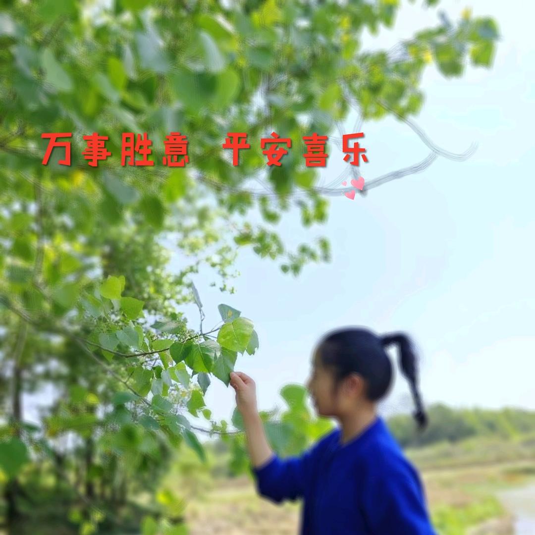 娟然一笑🀄百万🤔