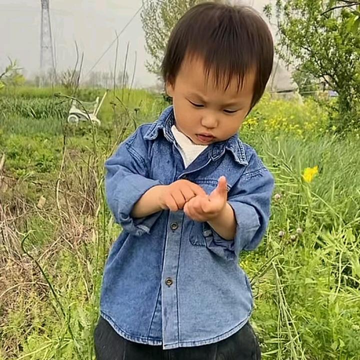 没头脑和不高兴