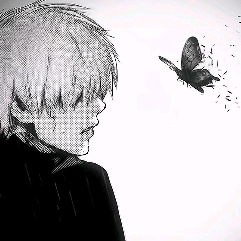 雲舒AE🍞（见过Zkaaai版）