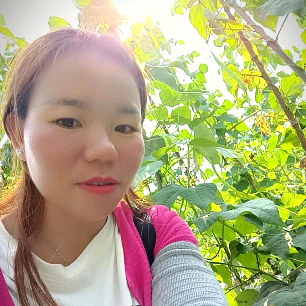 小燕子