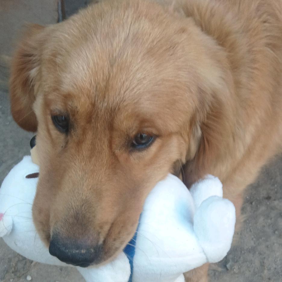 ☆*小幸运*🦄❤~~