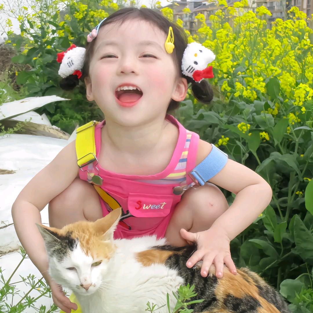 Bi8bo脑袋困掉了🔆