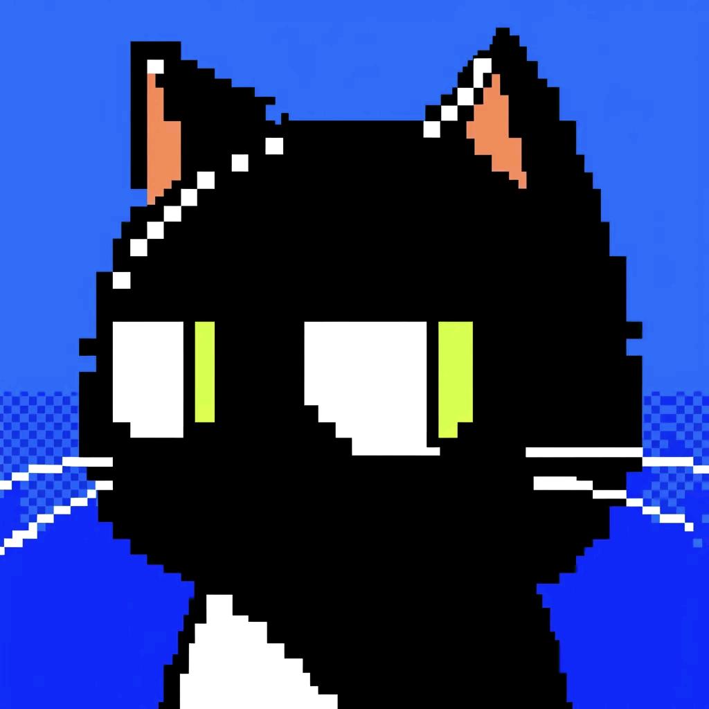 猫七💫