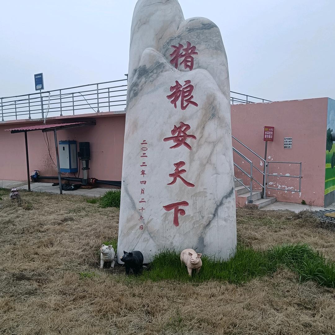 陈海波