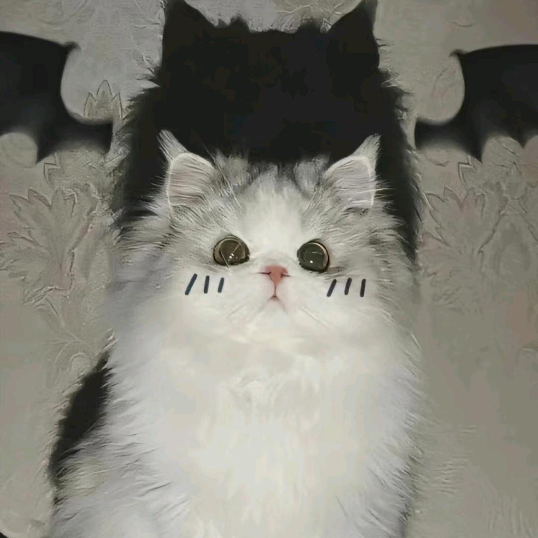 惠