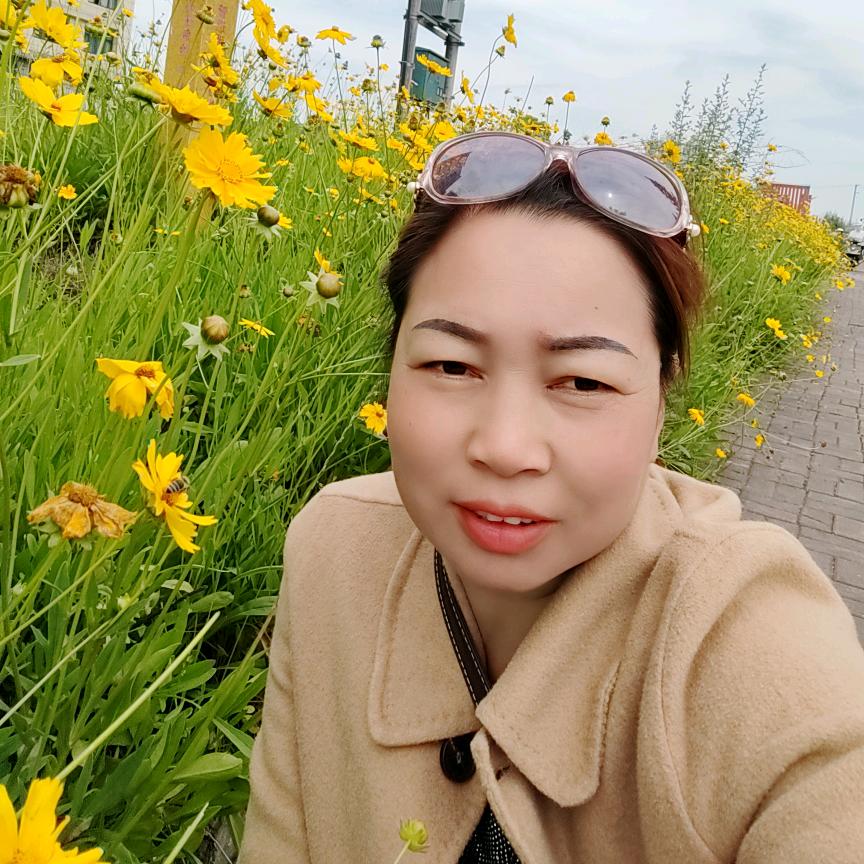 琴琴