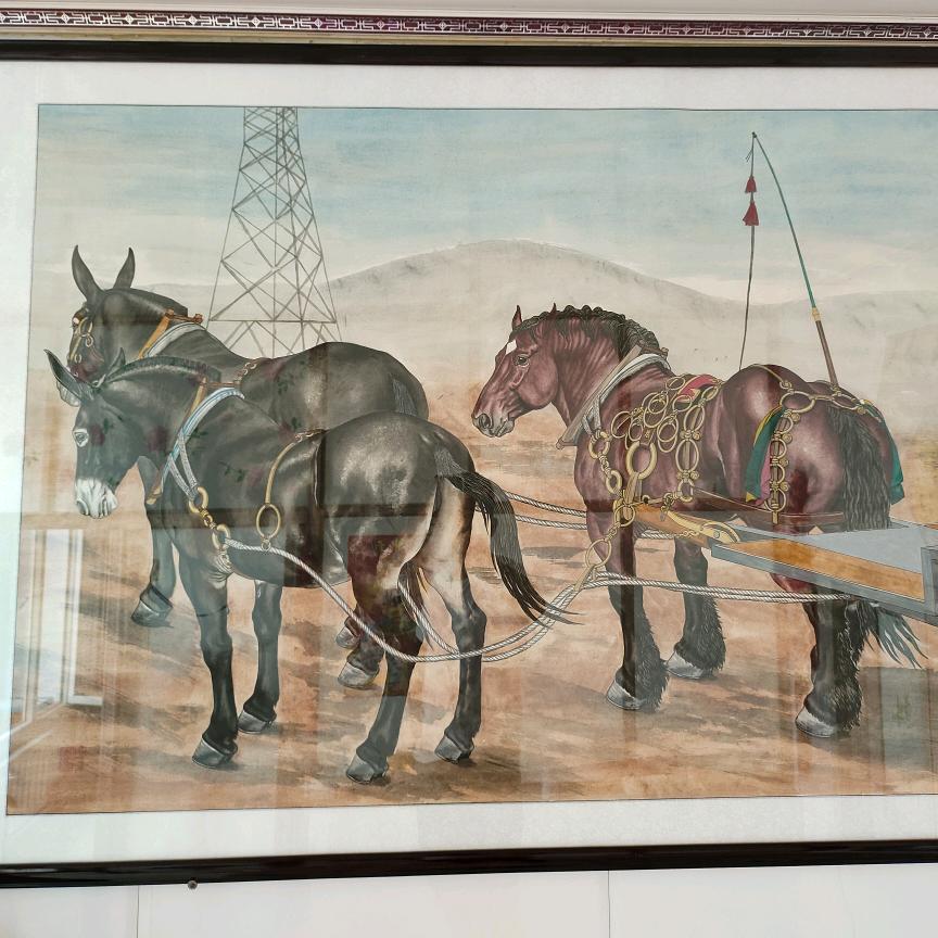 爱马🐴青年