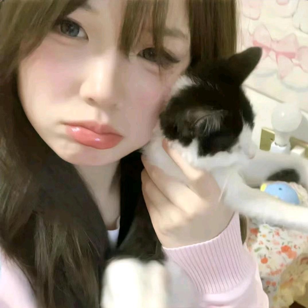 我勒个豆