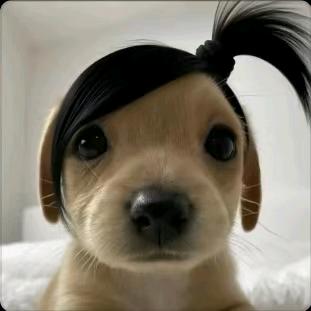 我是千斤大小姐