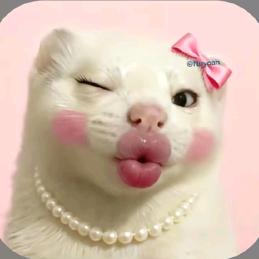 猪玥玥骑着驴到处转