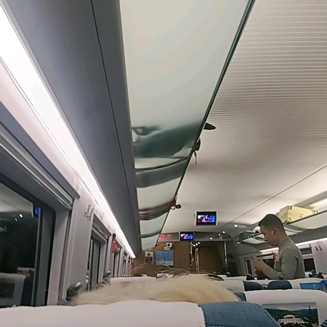 天天与你相见