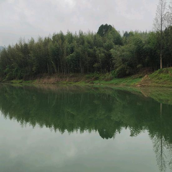 临安鱼乐之家垂钓基地