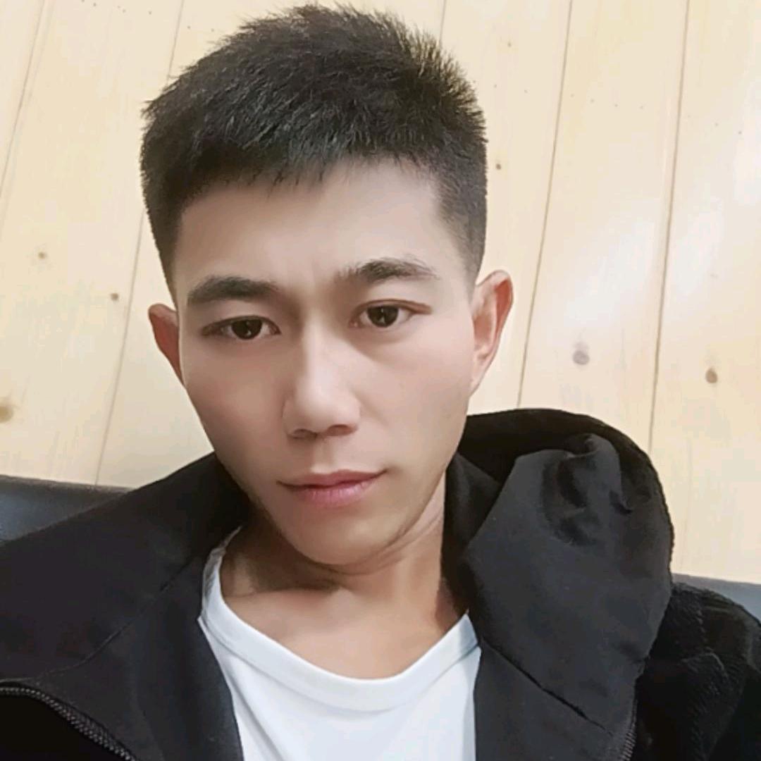 专门收精品猎犬