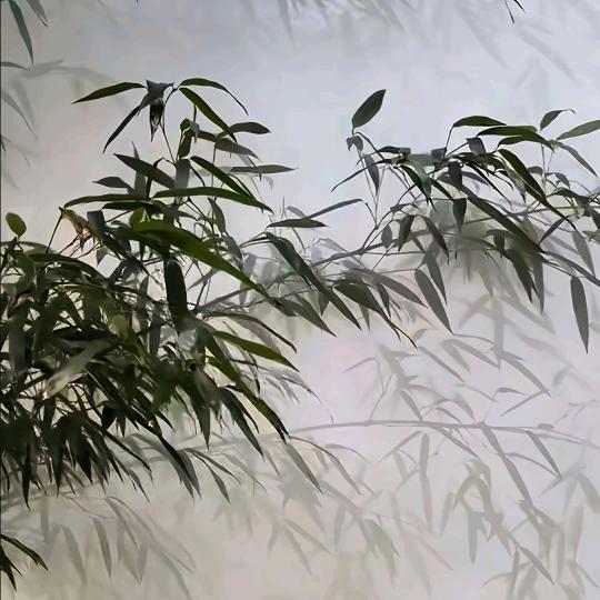 闲散人员