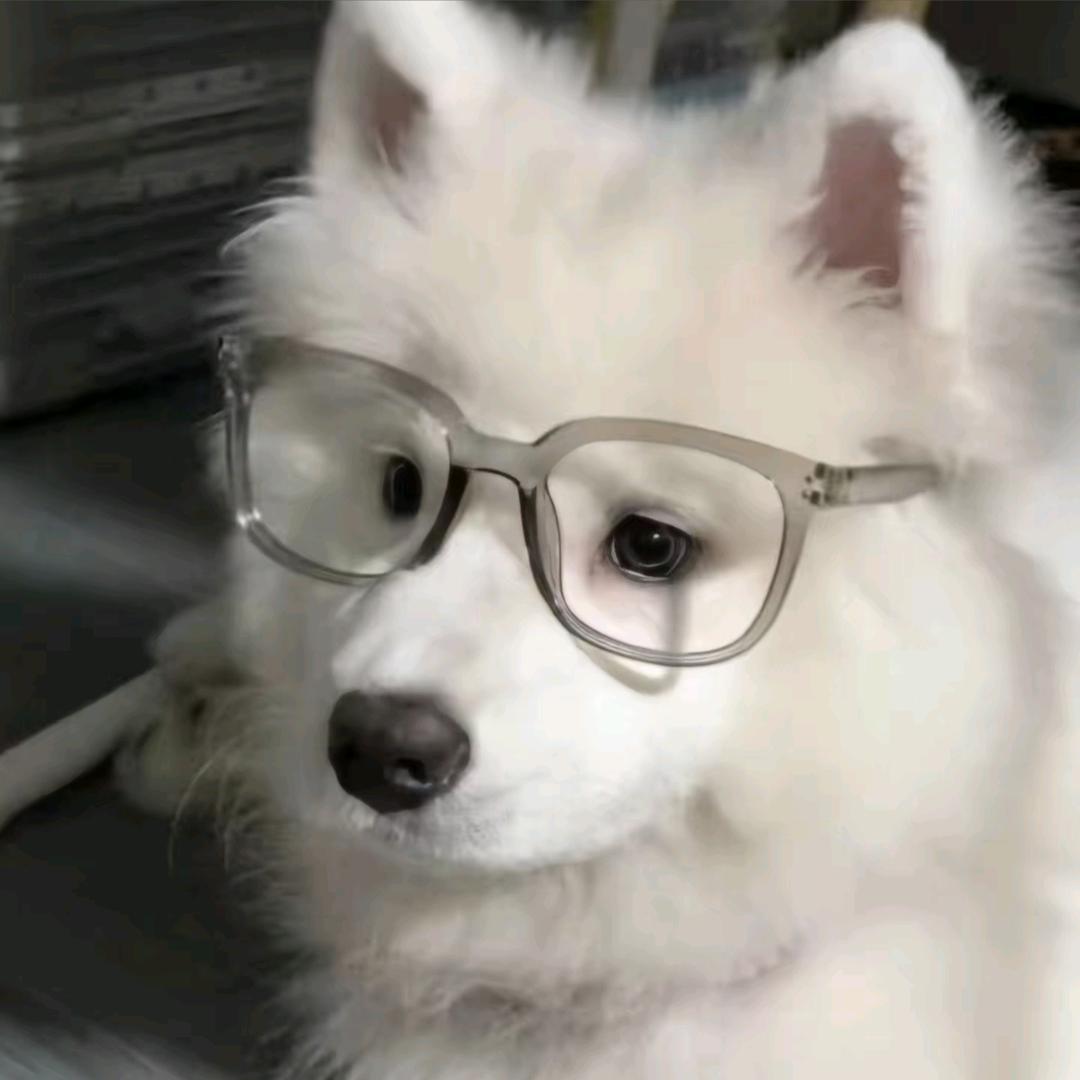 阿蛋也很忙