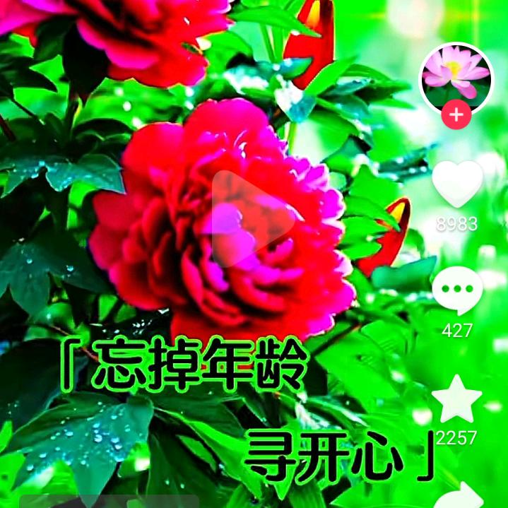 夏天的雨