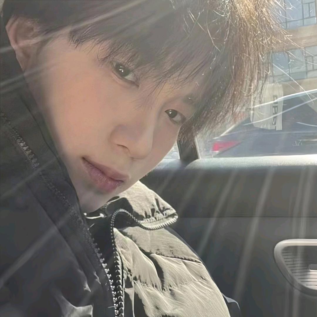 杨杨的橱窗