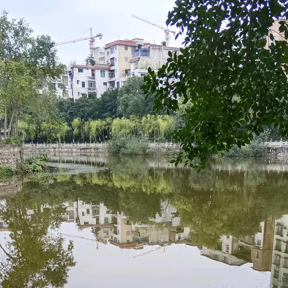 梦想