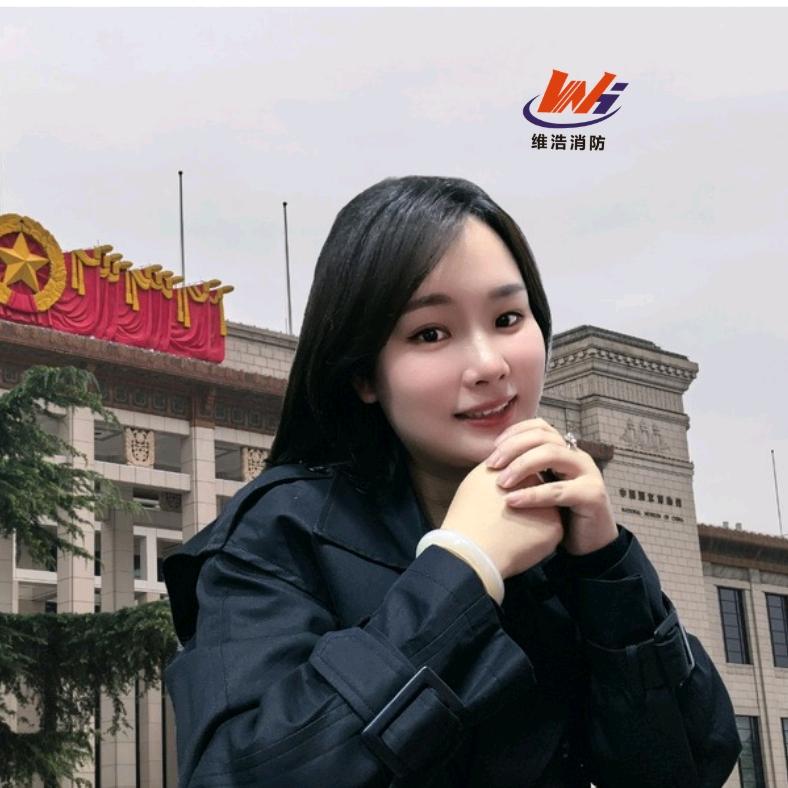 气体灭火厂家•文艺