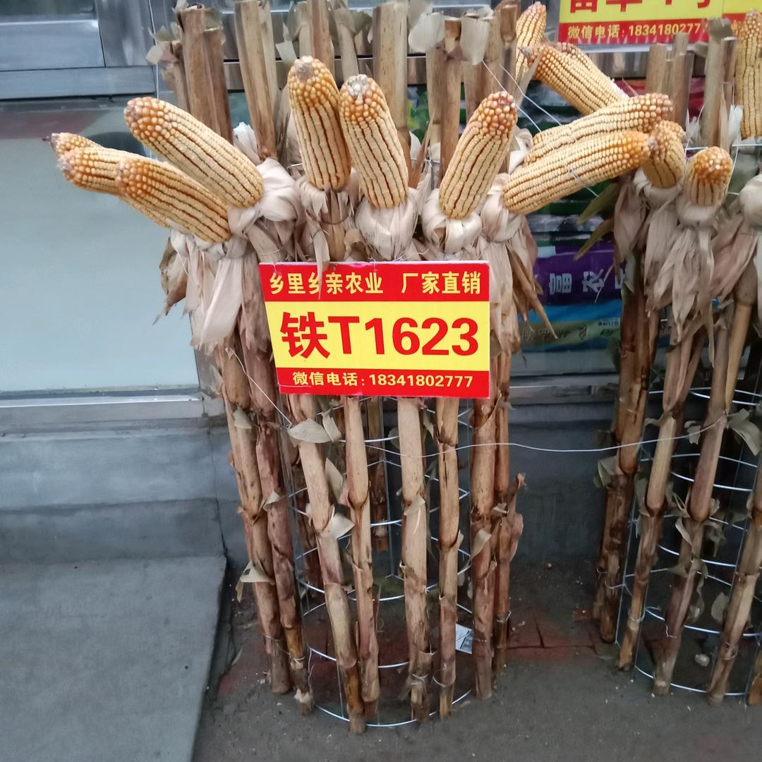 乡里乡亲农业直销