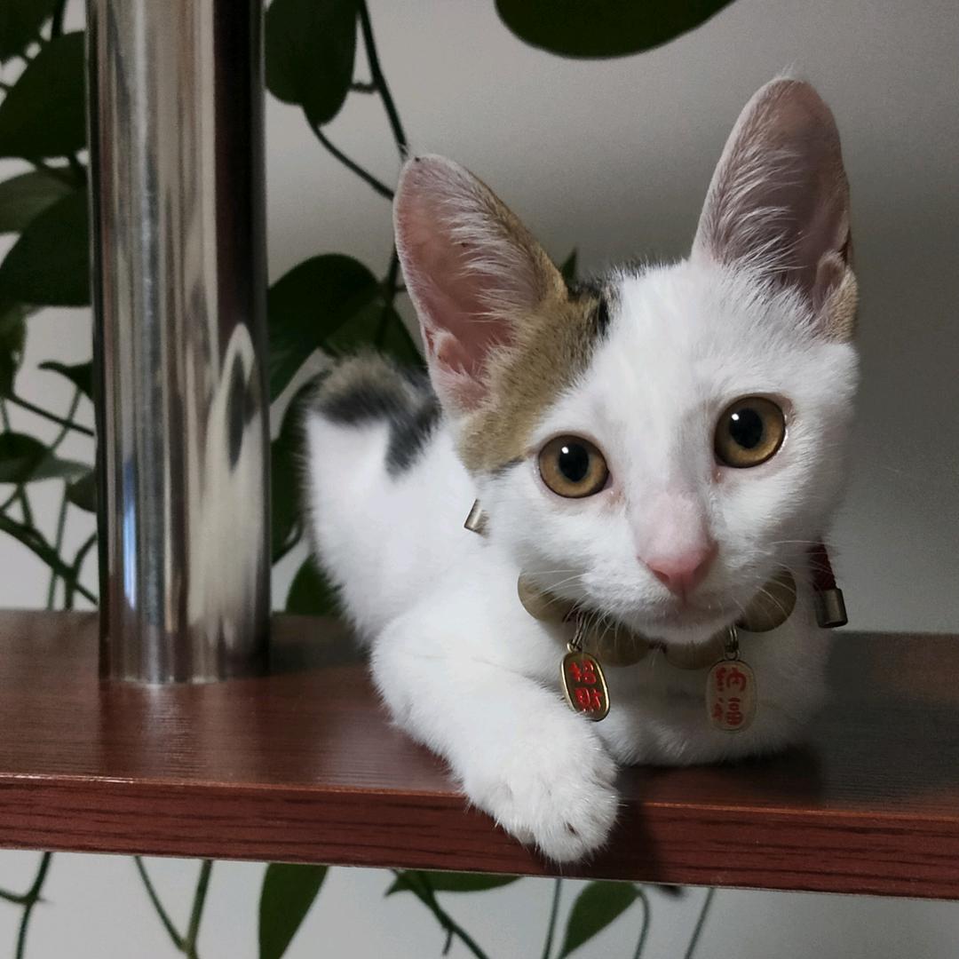 财宝的美好生活