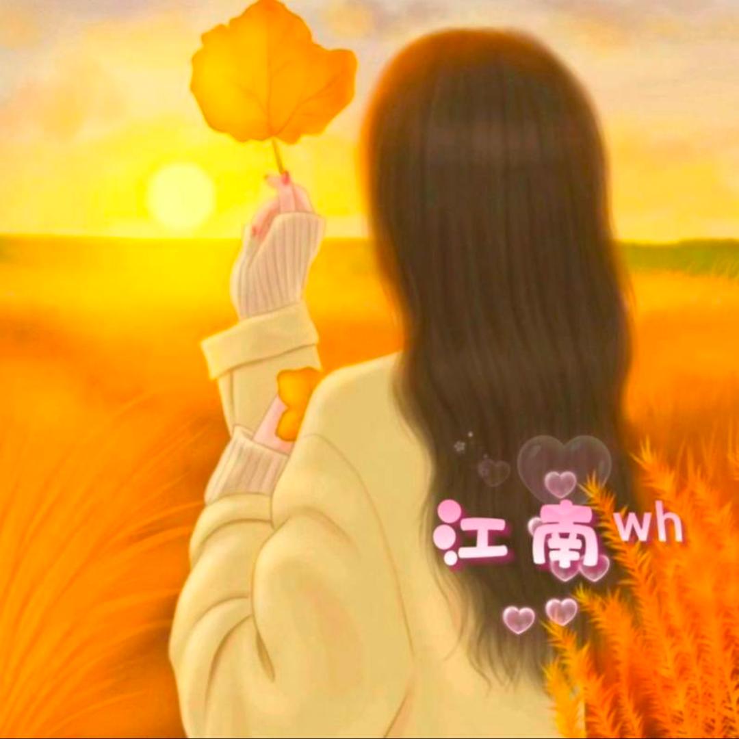 江南wh