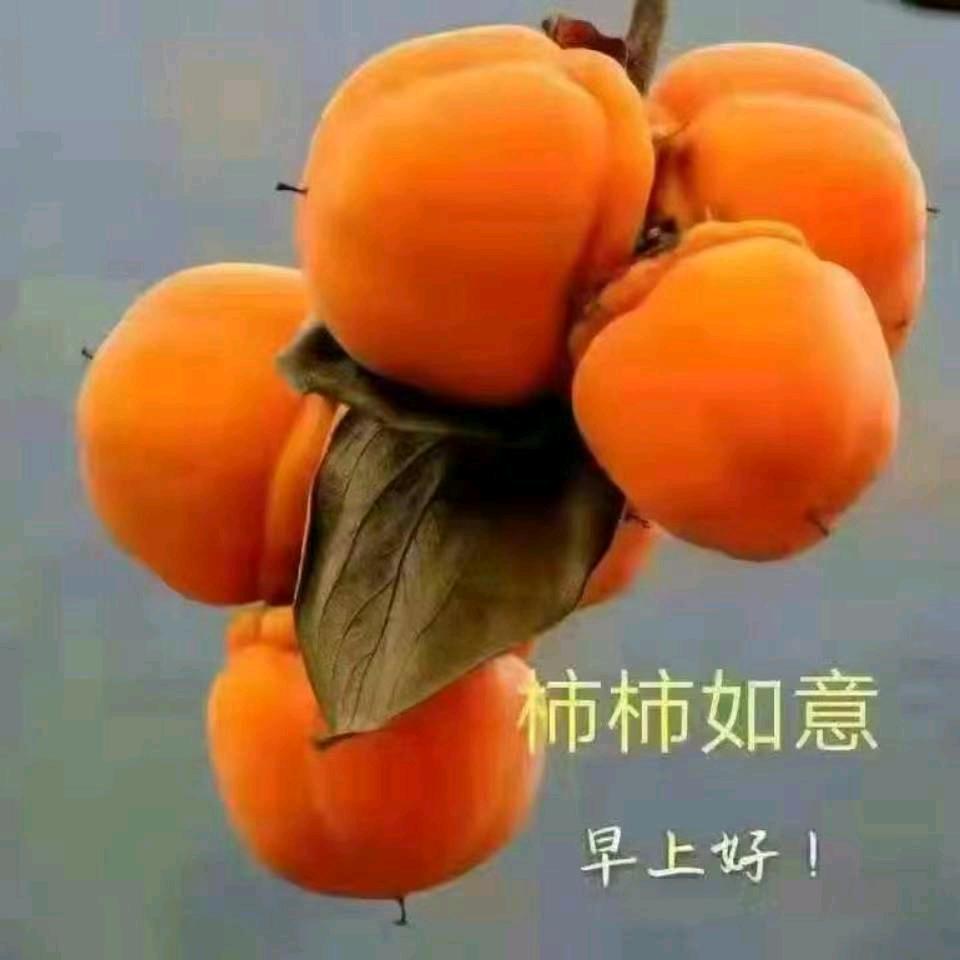 幸福有你1273
