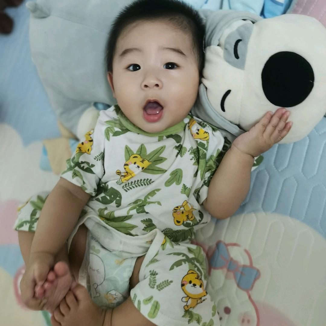 张小鱼