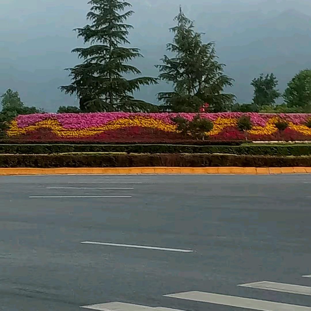 淑梅