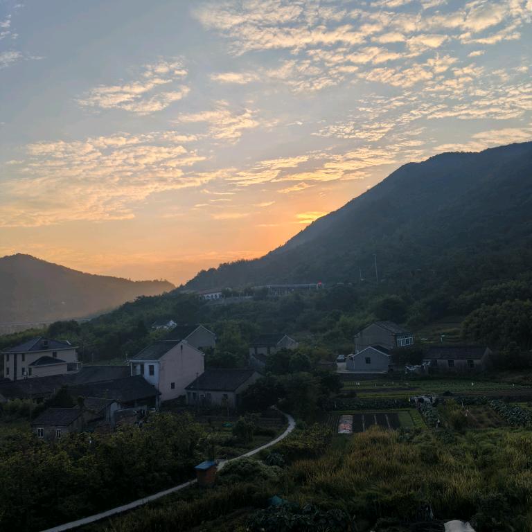 凉风有信